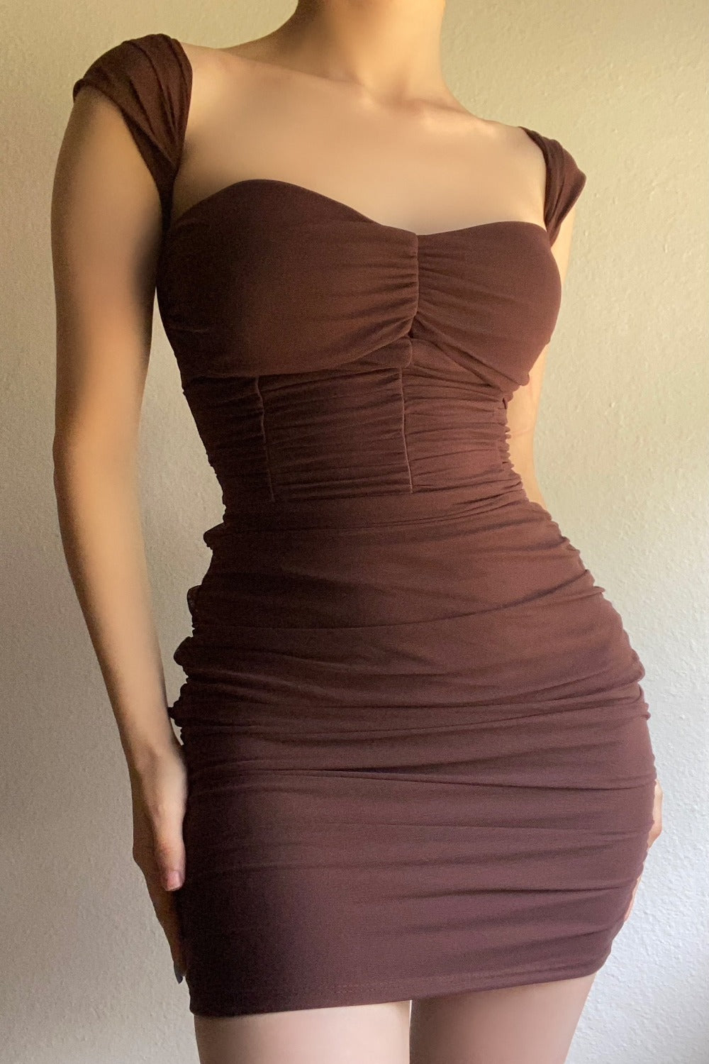 Ziva Mesh Mini Dress (Brown)